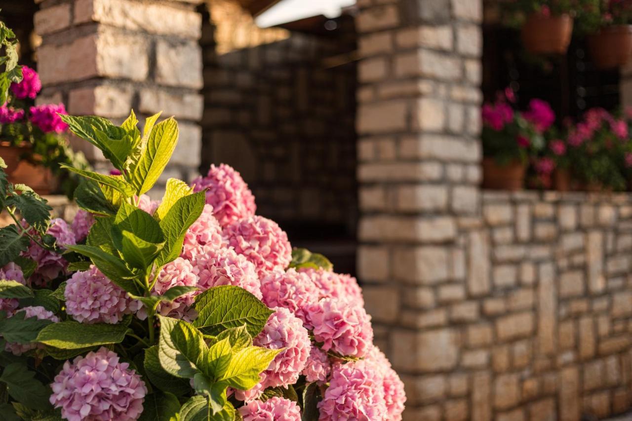 Apartments Contessa Novigrad  Exterior photo